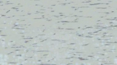 Benzersiz hareket dokusu tasarım sanatı ile profesyonel video düzenleme için modern soyut grafikler