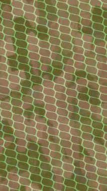 Benzersiz dijital hareket grafiklerine sahip yaratıcı sinematik projeler için yumuşak animasyon yüzeyi