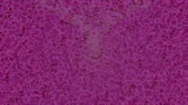 Dijital doku yüzey tasarım biçimi ile modern video animasyonu için gelişmiş hareket grafikleri