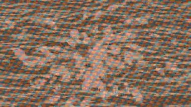 Dijital doku yüzey tasarım biçimi ile modern video animasyonu için gelişmiş hareket grafikleri