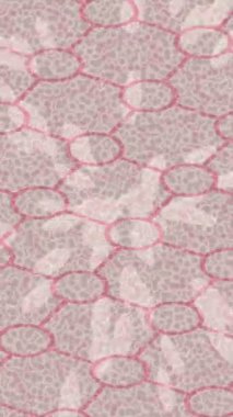 Profesyonel video projeleri sanat tarzı için organik hareketli arkaplan tasarımı