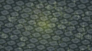 Dijital doku yüzey tasarım biçimi ile modern video animasyonu için gelişmiş hareket grafikleri