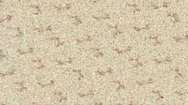 Estetik doku arkaplan tasarımı renkli hareket grafikleri ile moda film giriş profosyoneli