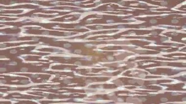 Estetik doku arkaplan tasarımı renkli hareket grafikleri ile moda film giriş profosyoneli