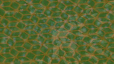 Lüks hareket projeleri için soyut tasarım stili animasyonu olan üst düzey dijital doku