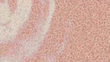 Lüks hareket tasarımı üst düzey video projeleri ve dijital sanat için zarif, pürüzsüz bir dokusu var.