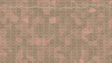 Estetik doku arkaplan tasarımı renkli hareket grafikleri ile moda film giriş profosyoneli