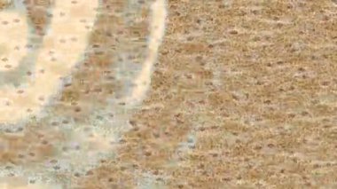 Benzersiz hareket dokusu tasarım sanatı ile profesyonel video düzenleme için modern soyut grafikler