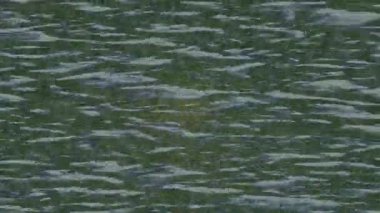 Benzersiz hareket grafikleri tasarım sanatına sahip yaratıcı film üretimi için özet bir arkaplan