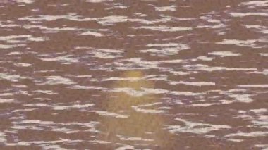 Benzersiz dijital hareket grafiklerine sahip yaratıcı sinematik projeler için yumuşak animasyon yüzeyi