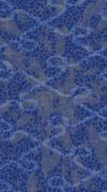 Yaratıcı video düzenleme film arkaplan tasarımı için minimalist organik hareket grafikleri