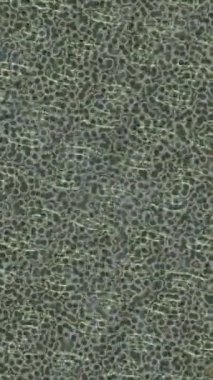 Dijital doku yüzey tasarım biçimi ile modern video animasyonu için gelişmiş hareket grafikleri