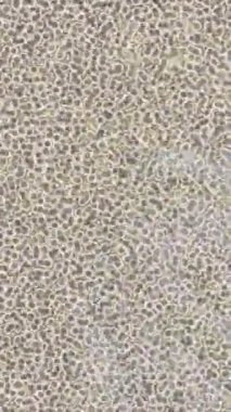 Benzersiz hareket grafikleri tasarım sanatına sahip yaratıcı film üretimi için özet bir arkaplan