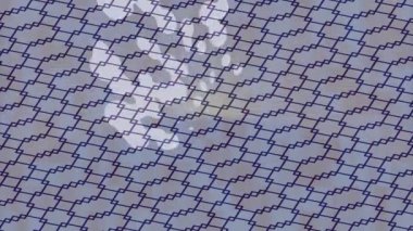 Benzersiz video giriş tasarımı projeleri için detaylı yüzey kalıbı film animasyon stili grafik girişi