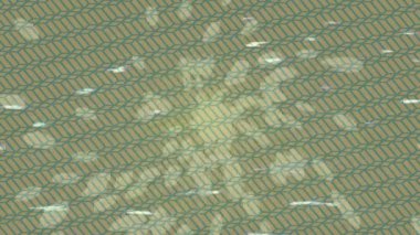 Benzersiz dijital animasyon tarzı grafikleri olan yaratıcı ortam tasarımı için yenilikçi hareket dokusu