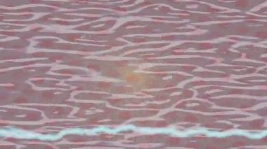 Benzersiz dijital animasyon tarzı grafikleri olan yaratıcı ortam tasarımı için yenilikçi hareket dokusu