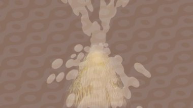 Yaratıcı video düzenleme film arkaplan tasarımı için minimalist organik hareket grafikleri