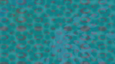 Yaratıcı video düzenleme film arkaplan tasarımı için minimalist organik hareket grafikleri