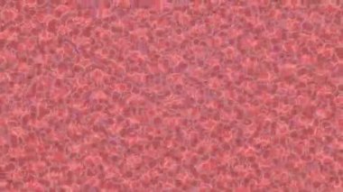 Benzersiz dijital animasyon tarzı grafikleri olan yaratıcı ortam tasarımı için yenilikçi hareket dokusu