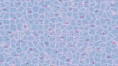 Yaratıcı video düzenleme film tasarımı için benzersiz hareket grafikleri biçimi giriş hareketi video pro