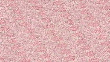 Profesyonel video projeleri sanat tarzı için organik hareketli arkaplan tasarımı