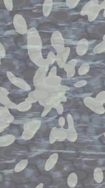 Estetik doku arkaplan tasarımı renkli hareket grafikleri ile moda film giriş profosyoneli