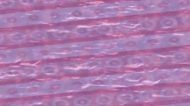 Benzersiz dijital hareket grafiklerine sahip yaratıcı sinematik projeler için yumuşak animasyon yüzeyi