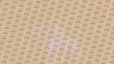 Benzersiz dijital hareket grafiklerine sahip yaratıcı sinematik projeler için yumuşak animasyon yüzeyi