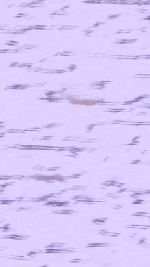 Soyut hareket desenli fütüristik video üretimi için dinamik dijital arkaplan