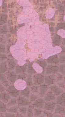 Benzersiz dijital animasyon tarzı grafikleri olan yaratıcı ortam tasarımı için yenilikçi hareket dokusu