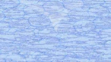 Organik desenli yüzey giriş stili video film sanatı ile soyut arkaplan tasarımı