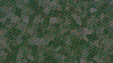 Dijital doku yüzey tasarım biçimi ile modern video animasyonu için gelişmiş hareket grafikleri