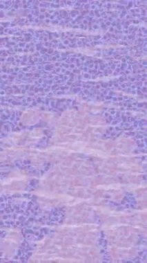 Modern medya üretimi için fütüristik dijital soyut doku sinematik tarz hareketli grafik ögesi