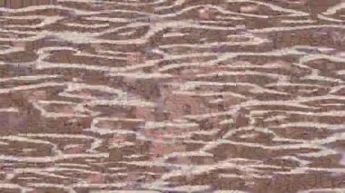 Estetik doku arkaplan tasarımı renkli hareket grafikleri ile moda film giriş profosyoneli