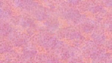 Lüks hareket tasarımı üst düzey video projeleri ve dijital sanat için zarif, pürüzsüz bir dokusu var.