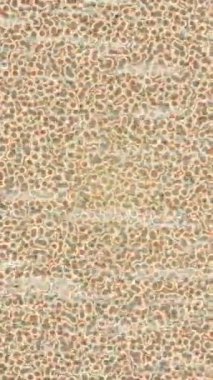 Benzersiz dijital animasyon tarzı grafikleri olan yaratıcı ortam tasarımı için yenilikçi hareket dokusu