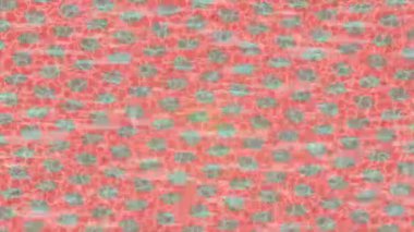 Lüks hareket tasarımı üst düzey video projeleri ve dijital sanat için zarif, pürüzsüz bir dokusu var.