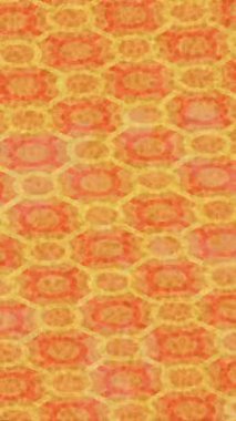 Dijital doku yüzey tasarım biçimi ile modern video animasyonu için gelişmiş hareket grafikleri