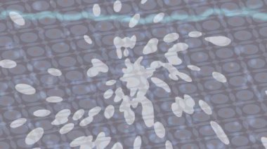 Yaratıcı video düzenleme film tasarımı için benzersiz hareket grafikleri biçimi giriş hareketi video pro