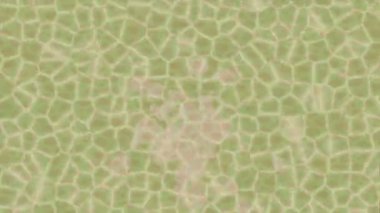 Lüks hareket projeleri için soyut tasarım stili animasyonu olan üst düzey dijital doku