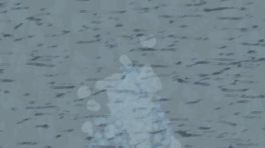 Benzersiz dijital animasyon tarzı grafikleri olan yaratıcı ortam tasarımı için yenilikçi hareket dokusu