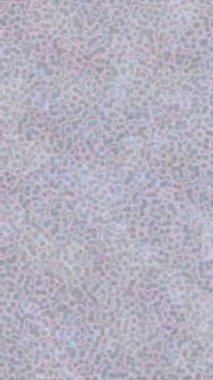 Yaratıcı video düzenleme film arkaplan tasarımı için minimalist organik hareket grafikleri