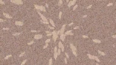 Profesyonel video projeleri sanat tarzı için organik hareketli arkaplan tasarımı