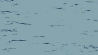 Estetik doku arkaplan tasarımı renkli hareket grafikleri ile moda film giriş profosyoneli