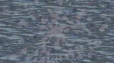 Lüks hareket tasarımı üst düzey video projeleri ve dijital sanat için zarif, pürüzsüz bir dokusu var.