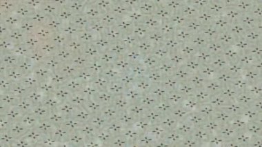 Soyut hareket desenli fütüristik video üretimi için dinamik dijital arkaplan