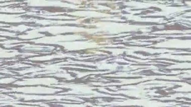 Yaratıcı video düzenleme film tasarımı için benzersiz hareket grafikleri biçimi giriş hareketi video pro