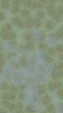 Estetik doku arkaplan tasarımı renkli hareket grafikleri ile moda film giriş profosyoneli