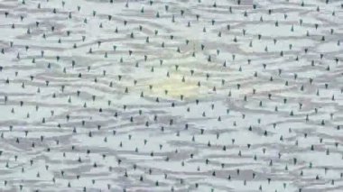 Benzersiz hareket dokusu tasarım sanatı ile profesyonel video düzenleme için modern soyut grafikler