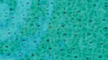 Soyut hareket desenli fütüristik video üretimi için dinamik dijital arkaplan